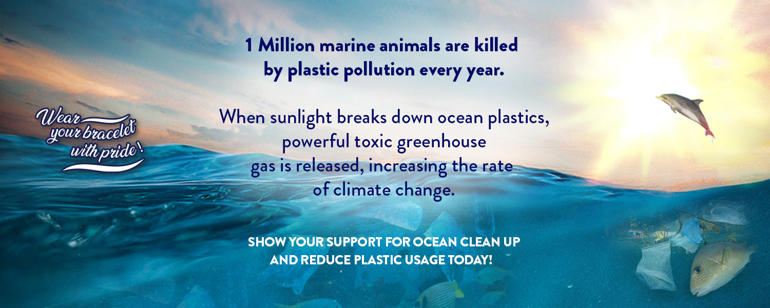 Clean the ocean and coastlines while helping to protect the Great Barrier  Reef